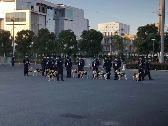 上海大型活动现场案例
