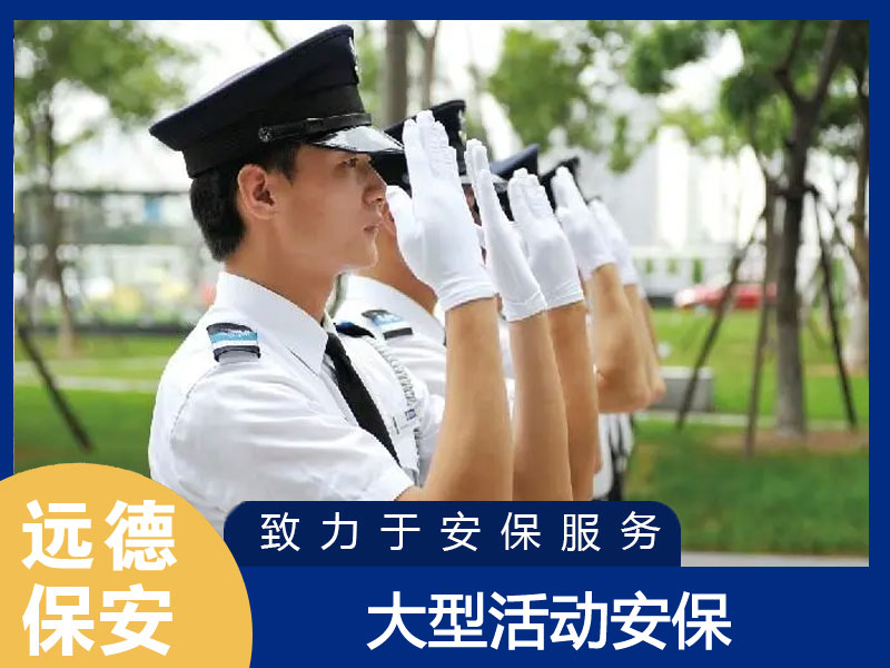 奉贤大型活动现场安保