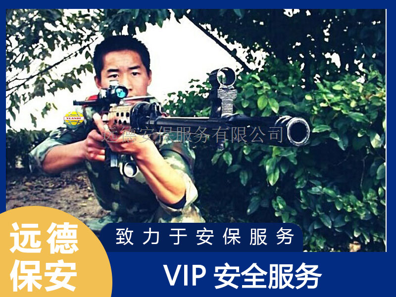 上海奉贤VIP安全服务